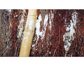 Kundenbild groß 1 Salzgrotte Minden, (Ärztehaus neben Preußenmuseum)