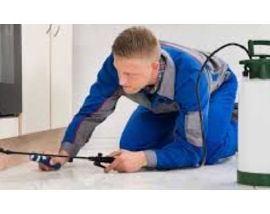 Kundenfoto 1 Kammerjäger Dahm Kundenfoto 1 Kammerjäger Dahm