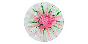 Kundenlogo von Offiah Gabriele Dr. med. Privatärztin-Energiemedizin