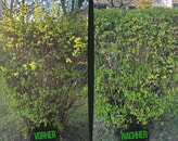 Kundenbild groß 5 360° Haus & Garten Hausmeisterservice