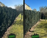Kundenbild groß 4 360° Haus & Garten Hausmeisterservice