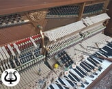 Kundenbild groß 5 Musikhaus Ivanov
