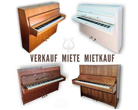 Kundenfoto 6 Musikhaus Ivanov Kundenfoto 6 Musikhaus Ivanov