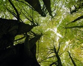 Kundenbild groß 5 InspirAre