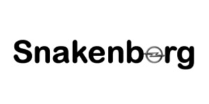 Kundenlogo von Snakenborg Peter-H. KFZ-Werkstatt
