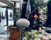 Kundenbild groß 3 Heinz Samulewitz & Söhne GmbH Grabmale & Steinmetz-Kunst