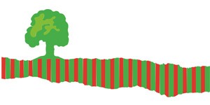 Kundenlogo von Schmidt u. Schlotfeldt GbR Himbeeren und Heidelbeeren