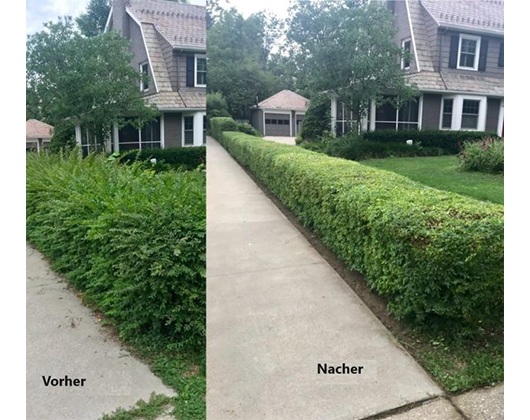 Kundenfoto 3 Garten und Steinreinigung Fernando Broschinski