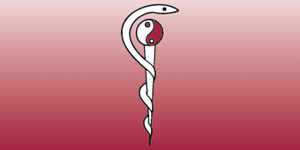 Kundenlogo von Jungk Christine Heilpraktikerin