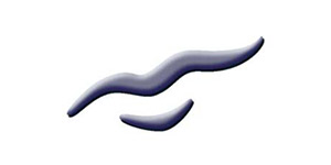 Kundenlogo von Baden Elke Dr.med.dent u. Kati Buhl Dr.med.dent Zahnärztinnen