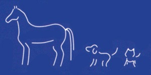Kundenlogo von Adamo Drs. GbR Pferde- und Kleintierpraxis