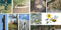Kundenlogo Nur Garten und Baumpflege ulm