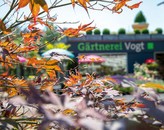 Kundenbild groß 8 Gärtnerei Vogt GmbH