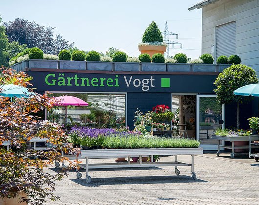 Kundenfoto 7 Gärtnerei Vogt GmbH