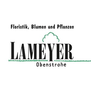 Bild von