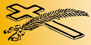 Kundenlogo von Reinders Bestattungen