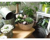 Kundenbild groß 2 Klatschmohn Blumenfachgeschäft Inh. Gabriela Melloh Floristik