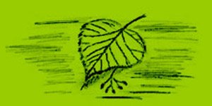 Kundenlogo von Angelika Wuschisch-Gerrietzen Heilpraktikerin Kundenlogo von Angelika Wuschisch-Gerrietzen Heilpraktikerin