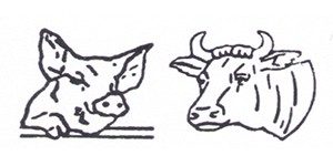 Kundenlogo von Schlüter Heinrich Vieh u. Fleisch,  Nutzviehzentrum