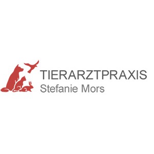 Bild von