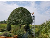 Kundenbild groß 2 Leffers Garten- und Landschaftsbau Carl Leffers