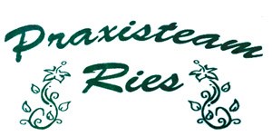 Kundenlogo von Praxisteam Ries Praxis für Physio- und Schmerztherapie Inh. Sven Ries