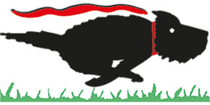 Kundenlogo von Witt Angela Dr. Kleintierpraxis Kundenlogo von Witt Angela Dr. Kleintierpraxis