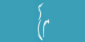 Kundenlogo von Schochterus Helga Dr. med. dent. und Thorsten MSc