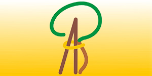 Kundenlogo von Dr. med. Antje Besdo - Orthopädin -