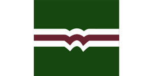 Kundenlogo von Wesche & Collegen Steuerberatungsgesellschaft OHG