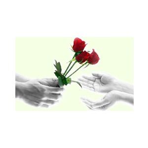 Bild von Blumen Bruns Inh. Tanja Kabuth