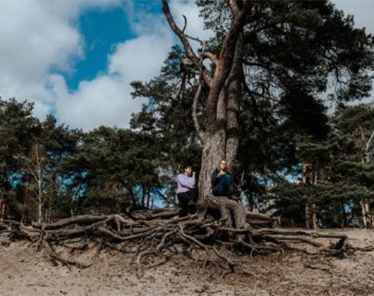 Kundenfoto 7 Ozorio - Institut für Wandel durch Naturerfahrung und systemische Prozessgestaltung Claudia Fantz