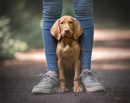 Kundenfoto 5 Kati Seiler Fotografie