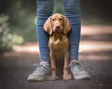 Kundenbild groß 5 Kati Seiler Fotografie