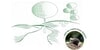 Kundenlogo von Dieter Schlegel Garten und Landschaftsbau GmbH