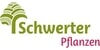 Kundenlogo von Schwerter Pflanzen GmbH Großhandel
