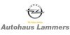 Kundenlogo von Autohaus Lammers