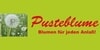 Kundenlogo von Pusteblume Inh. Christine Demmelmaier Blumen