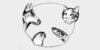 Kundenlogo von Benninger & Lucht Tierärztliche Gemeinschaftspraxis