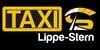 Kundenlogo von Taxi Lippestern
