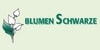 Kundenlogo von Blumen Schwarze Inh. Ursula Kreyenkötter