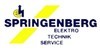 Kundenlogo von Elektro Springenberg