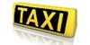 Kundenlogo von Taxi und Minicar Manfred Fleisch Taxiunternehmen