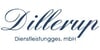 Kundenlogo von Dillerup Dienstleistungsgesellschaft mbH Teppichboden- u. Polsterreinigung, Steinrestauration
