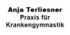 Kundenlogo von Terliesner Anja Krankengymnastikpraxis