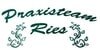 Kundenlogo von Praxisteam Ries Praxis für Physio- und Schmerztherapie Inh. Sven Ries