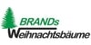 Kundenlogo von Brands Hof GbR Weihnachtsbäume und Hochlandrinder