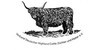 Kundenlogo von Highland Cattle Zuchtverband Niedersachsen e.V.
