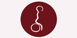 Kundenlogo von Physiopraxis Uhlhorn