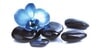 Kundenlogo von Beauty & Wellness Lounge Inh. Bianca Bahndorf